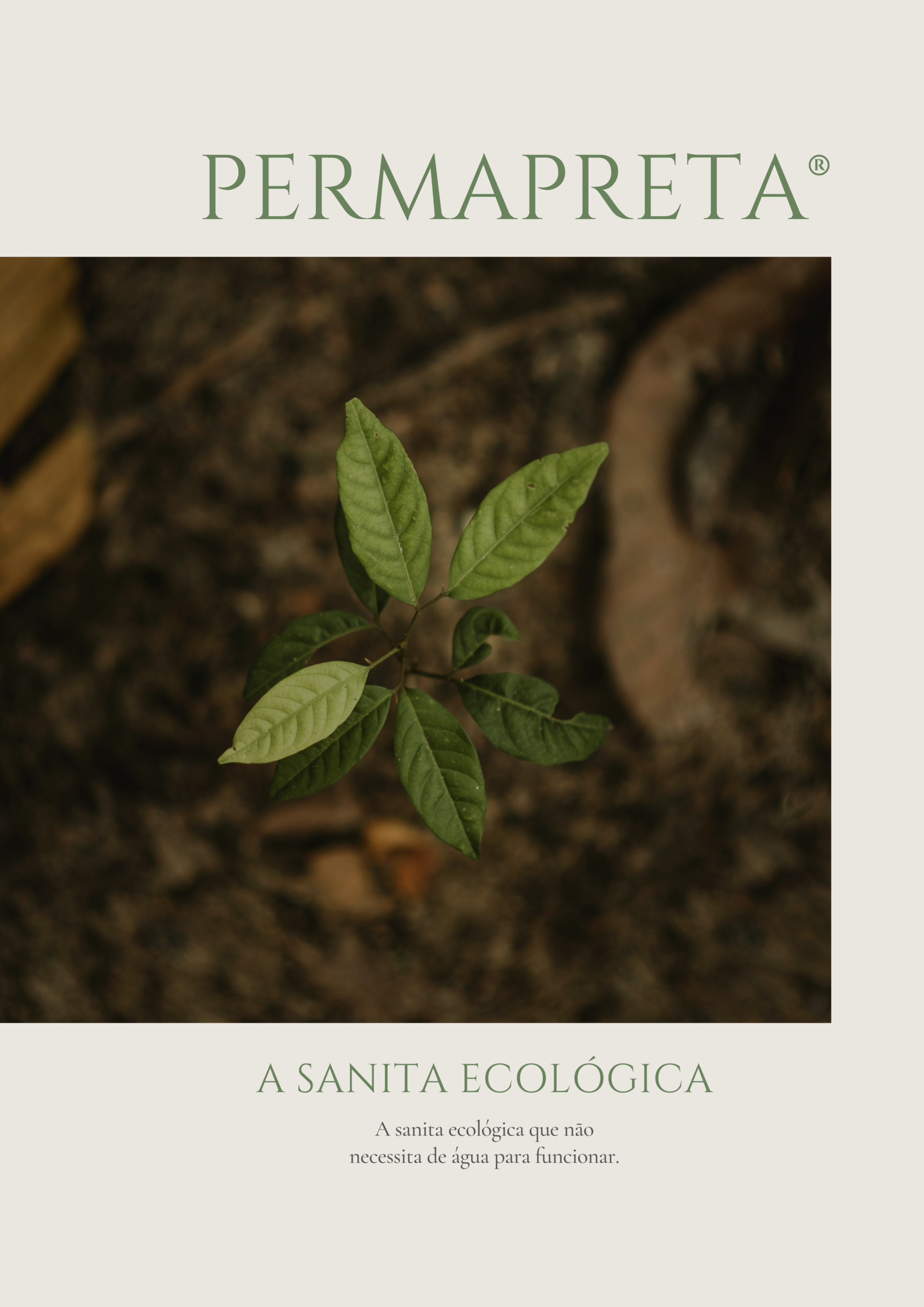 Sanita ecológica